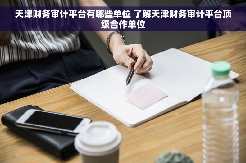 天津财务审计平台有哪些单位 了解天津财务审计平台顶级合作单位