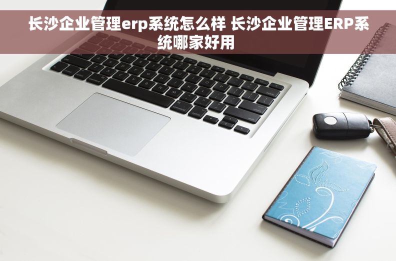 长沙企业管理erp系统怎么样 长沙企业管理ERP系统哪家好用 