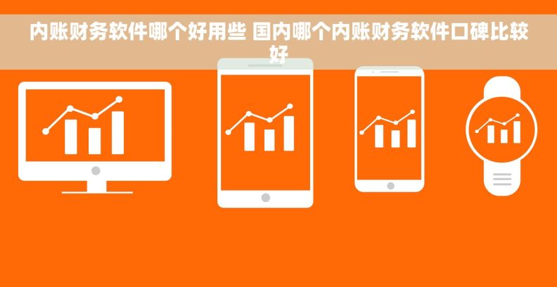 内账财务软件哪个好用些 国内哪个内账财务软件口碑比较好