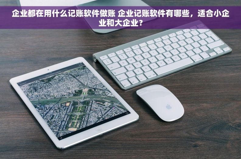 企业都在用什么记账软件做账 企业记账软件有哪些，适合小企业和大企业？
