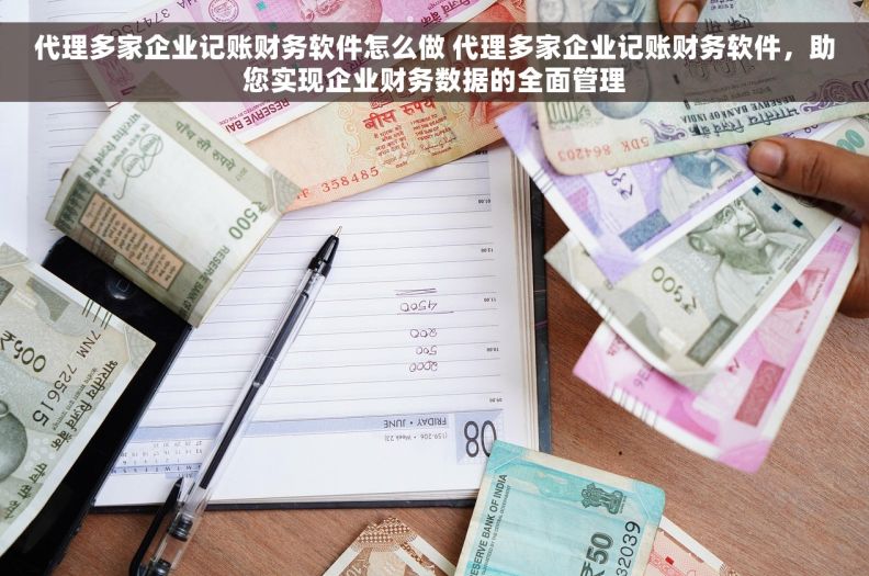 代理多家企业记账财务软件怎么做 代理多家企业记账财务软件，助您实现企业财务数据的全面管理