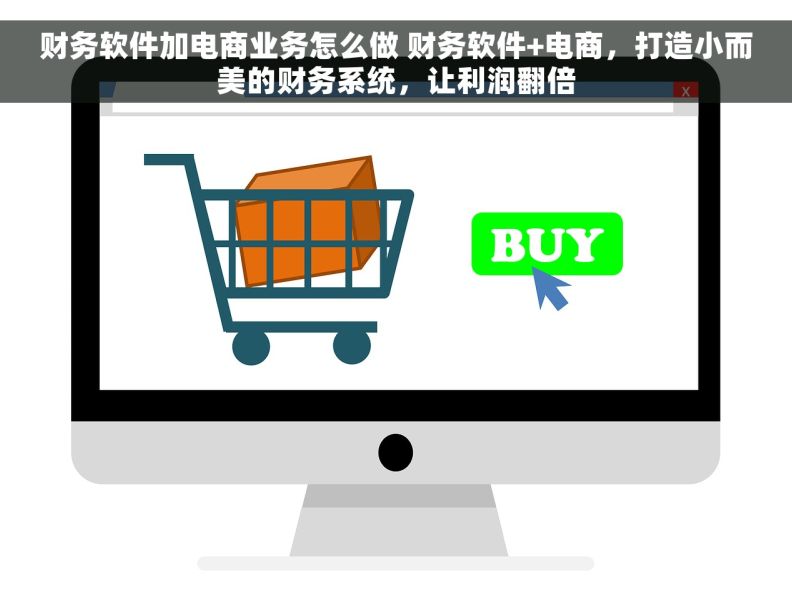 财务软件加电商业务怎么做 财务软件+电商，打造小而美的财务系统，让利润翻倍