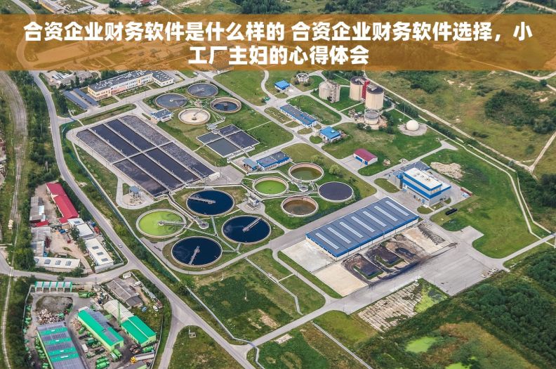 合资企业财务软件是什么样的 合资企业财务软件选择，小工厂主妇的心得体会