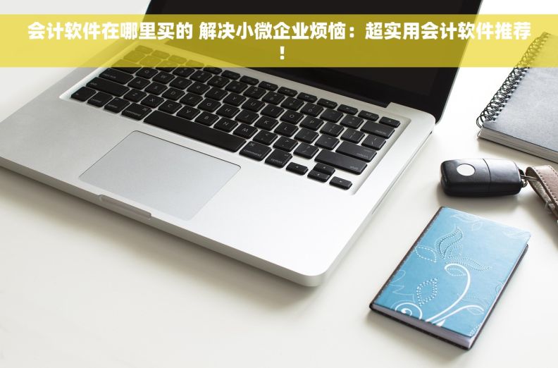 会计软件在哪里买的 解决小微企业烦恼：超实用会计软件推荐！