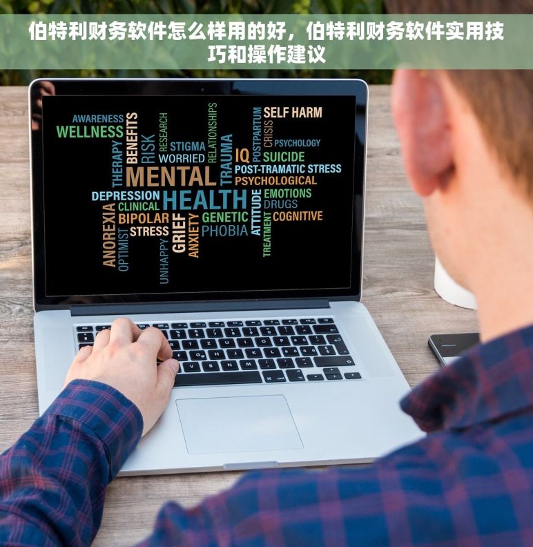 伯特利财务软件怎么样用的好，伯特利财务软件实用技巧和操作建议