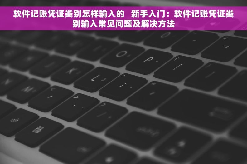 软件记账凭证类别怎样输入的   新手入门：软件记账凭证类别输入常见问题及解决方法
