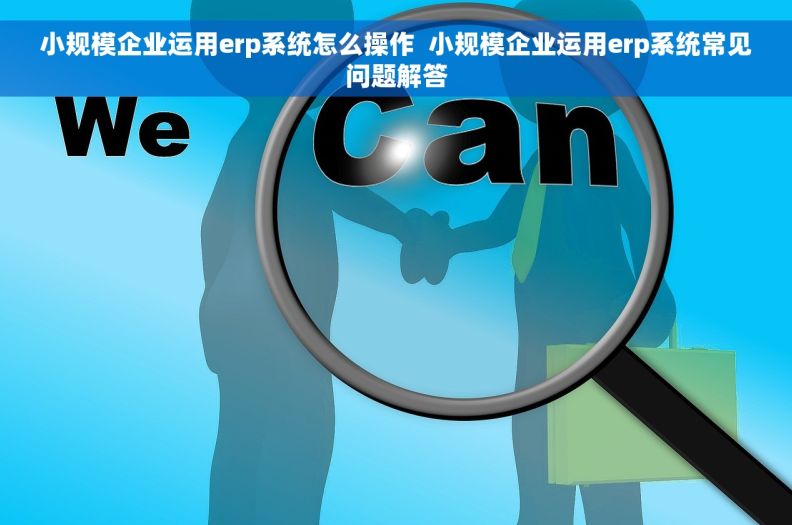 小规模企业运用erp系统怎么操作  小规模企业运用erp系统常见问题解答