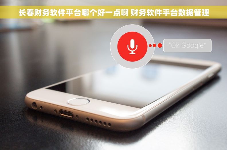 长春财务软件平台哪个好一点啊 财务软件平台数据管理