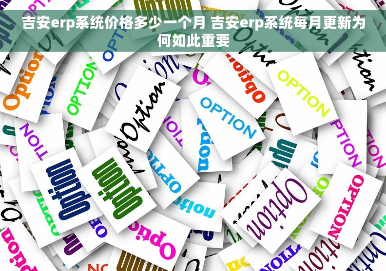 吉安erp系统价格多少一个月 吉安erp系统每月更新为何如此重要