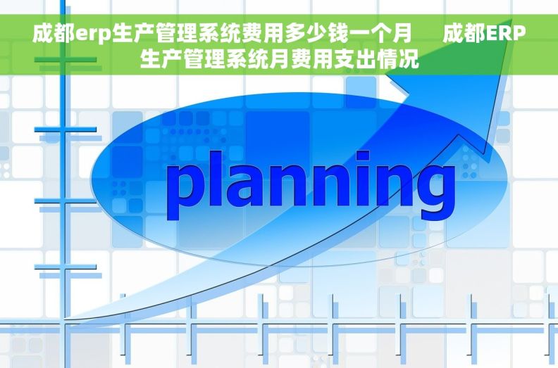 成都erp生产管理系统费用多少钱一个月     成都ERP生产管理系统月费用支出情况