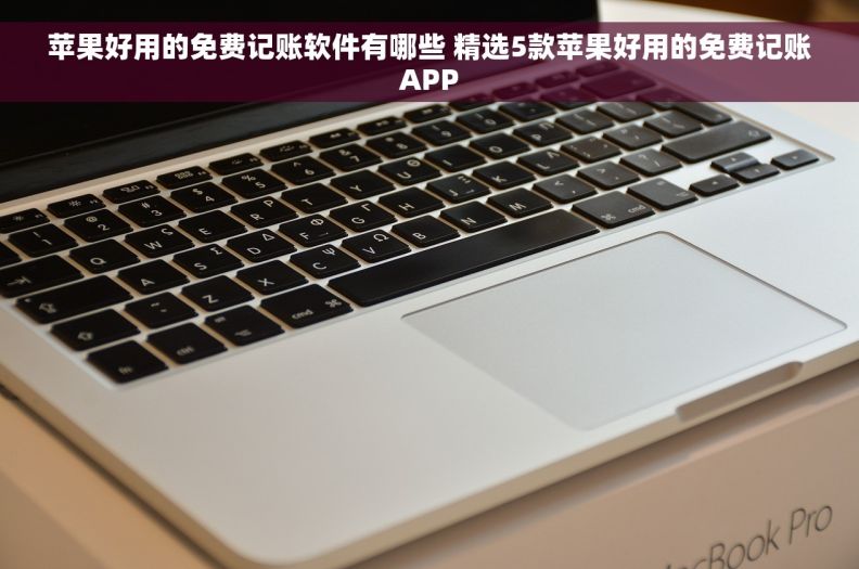 苹果好用的免费记账软件有哪些 精选5款苹果好用的免费记账APP