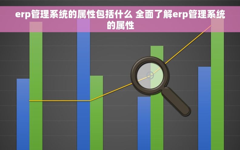 erp管理系统的属性包括什么 全面了解erp管理系统的属性