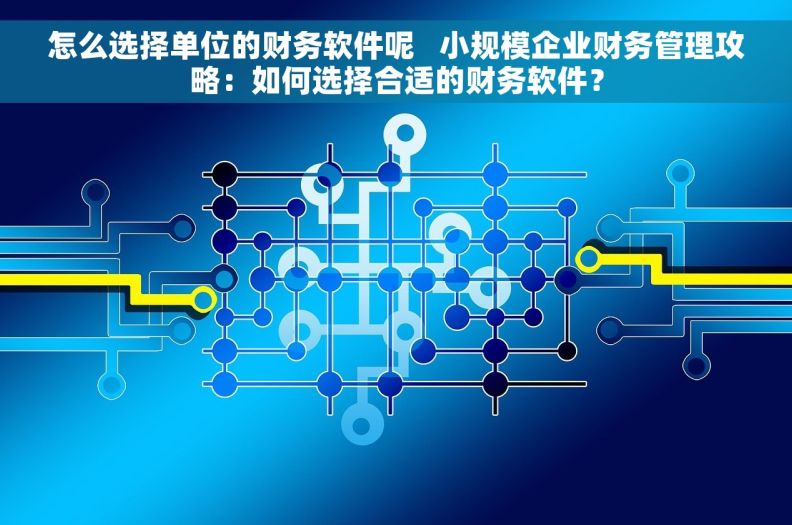 怎么选择单位的财务软件呢   小规模企业财务管理攻略：如何选择合适的财务软件？