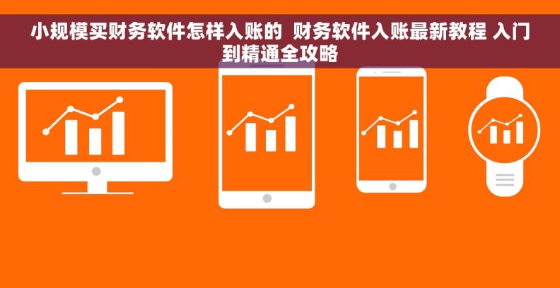小规模买财务软件怎样入账的  财务软件入账最新教程 入门到精通全攻略