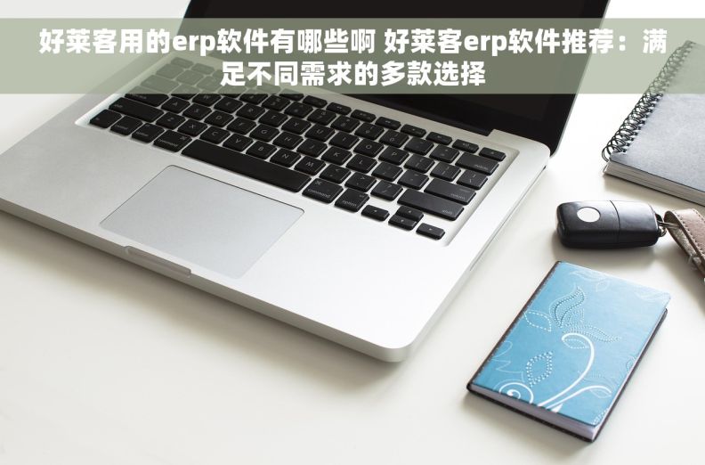 好莱客用的erp软件有哪些啊 好莱客erp软件推荐：满足不同需求的多款选择