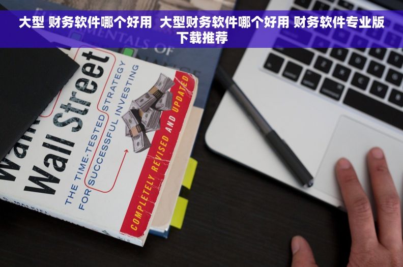 大型 财务软件哪个好用  大型财务软件哪个好用 财务软件专业版下载推荐