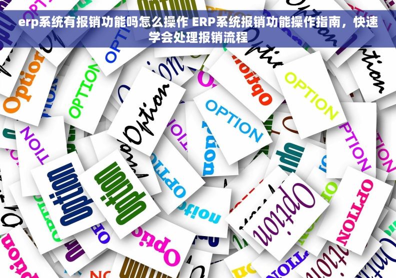 erp系统有报销功能吗怎么操作 ERP系统报销功能操作指南，快速学会处理报销流程