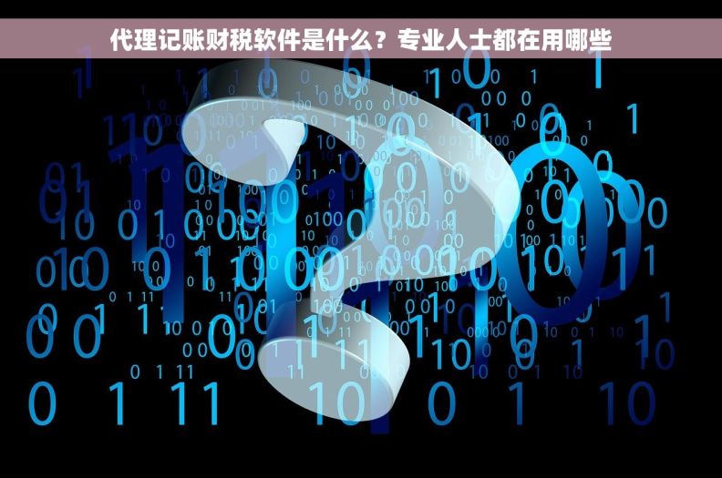 代理记账财税软件是什么？专业人士都在用哪些