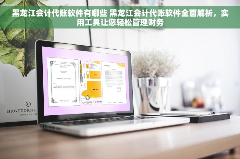 黑龙江会计代账软件有哪些 黑龙江会计代账软件全面解析，实用工具让您轻松管理财务