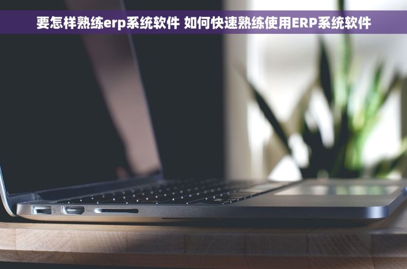 要怎样熟练erp系统软件 如何快速熟练使用ERP系统软件