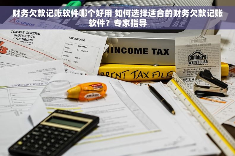 财务欠款记账软件哪个好用 如何选择适合的财务欠款记账软件？专家指导