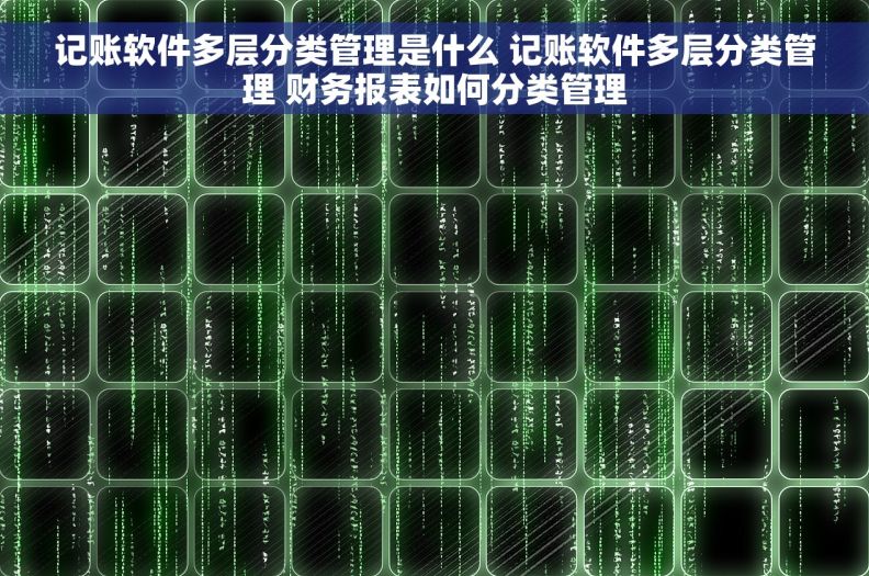 记账软件多层分类管理是什么 记账软件多层分类管理 财务报表如何分类管理