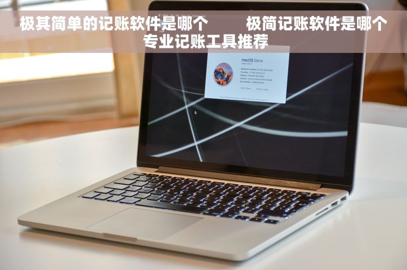 极其简单的记账软件是哪个         极简记账软件是哪个 专业记账工具推荐