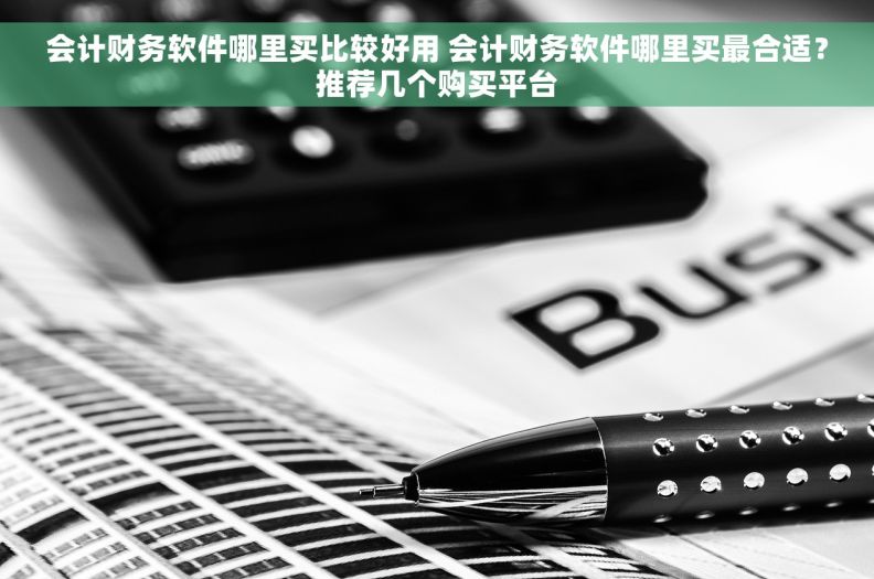 会计财务软件哪里买比较好用 会计财务软件哪里买最合适？推荐几个购买平台