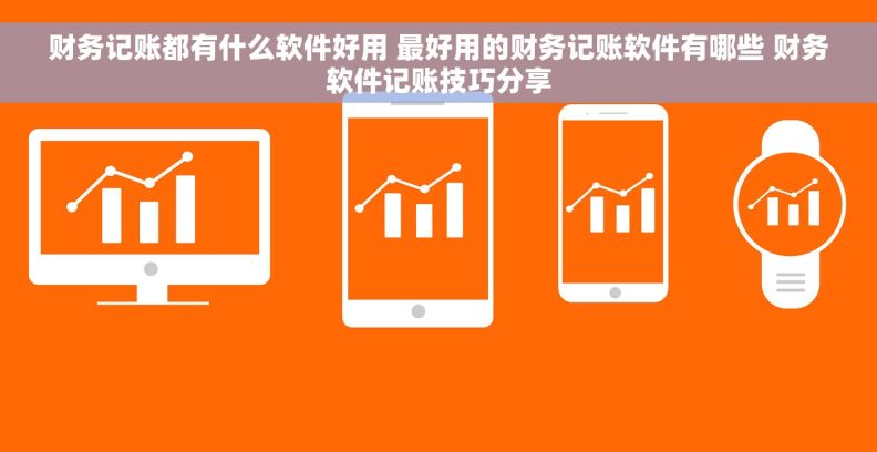 财务记账都有什么软件好用 最好用的财务记账软件有哪些 财务软件记账技巧分享