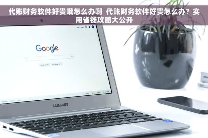 代账财务软件好贵哦怎么办啊  代账财务软件好贵怎么办？实用省钱攻略大公开
