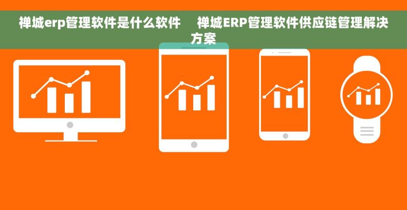 禅城erp管理软件是什么软件     禅城ERP管理软件供应链管理解决方案