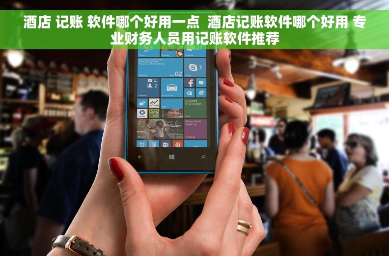 酒店 记账 软件哪个好用一点  酒店记账软件哪个好用 专业财务人员用记账软件推荐