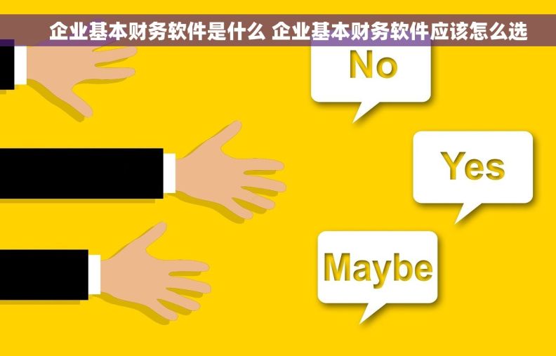     企业基本财务软件是什么 企业基本财务软件应该怎么选
