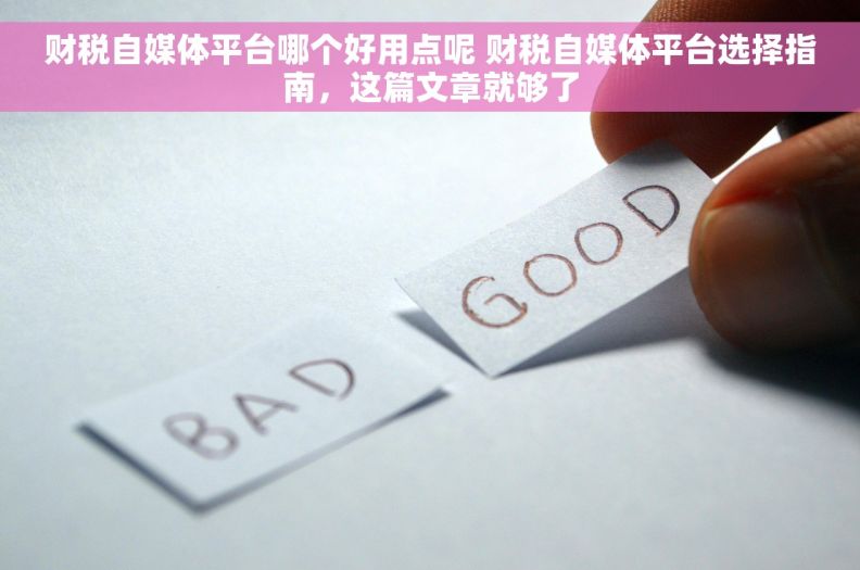 财税自媒体平台哪个好用点呢 财税自媒体平台选择指南，这篇文章就够了