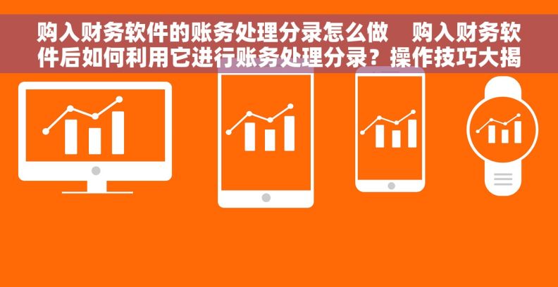 购入财务软件的账务处理分录怎么做    购入财务软件后如何利用它进行账务处理分录？操作技巧大揭秘