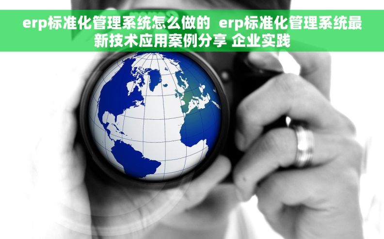 erp标准化管理系统怎么做的  erp标准化管理系统最新技术应用案例分享 企业实践