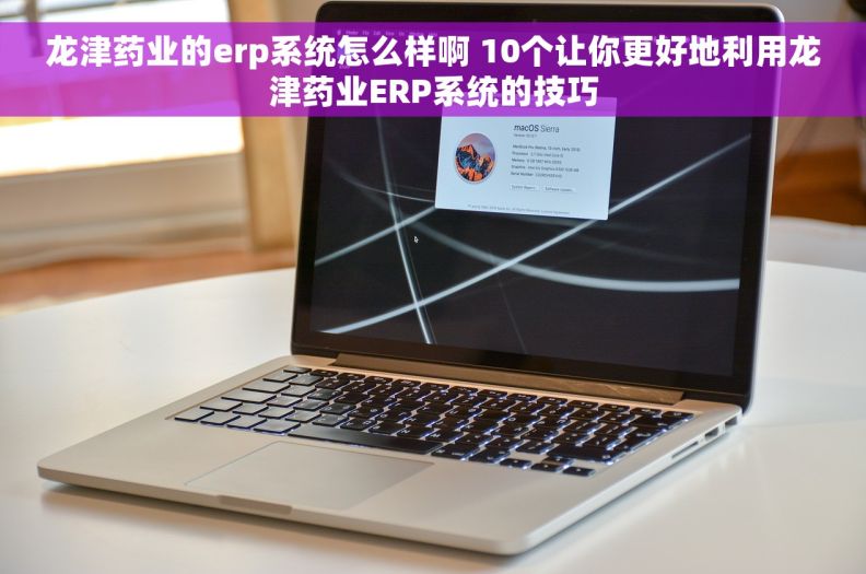 龙津药业的erp系统怎么样啊 10个让你更好地利用龙津药业ERP系统的技巧