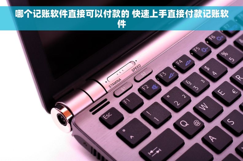 哪个记账软件直接可以付款的 快速上手直接付款记账软件