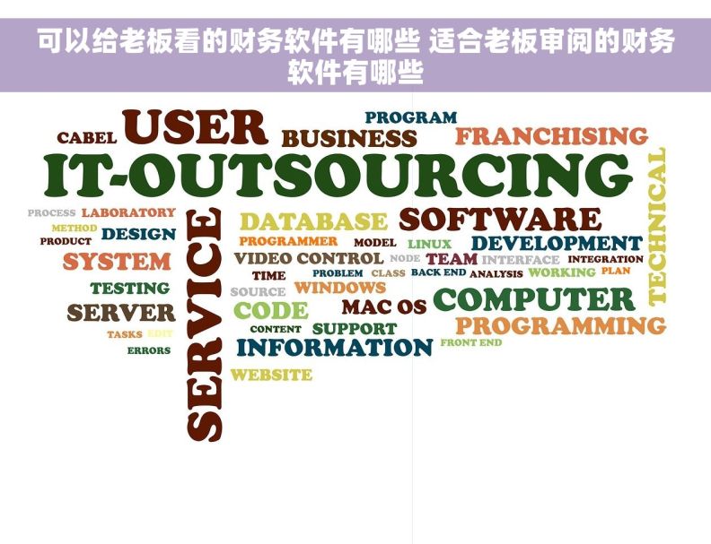 可以给老板看的财务软件有哪些 适合老板审阅的财务软件有哪些