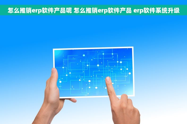 怎么推销erp软件产品呢 怎么推销erp软件产品 erp软件系统升级