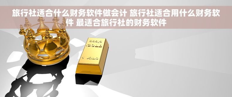 旅行社适合什么财务软件做会计 旅行社适合用什么财务软件 最适合旅行社的财务软件