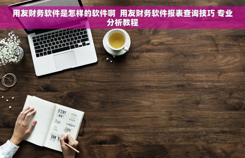 用友财务软件是怎样的软件啊  用友财务软件报表查询技巧 专业分析教程