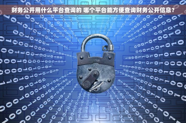 财务公开用什么平台查询的 哪个平台能方便查询财务公开信息？
