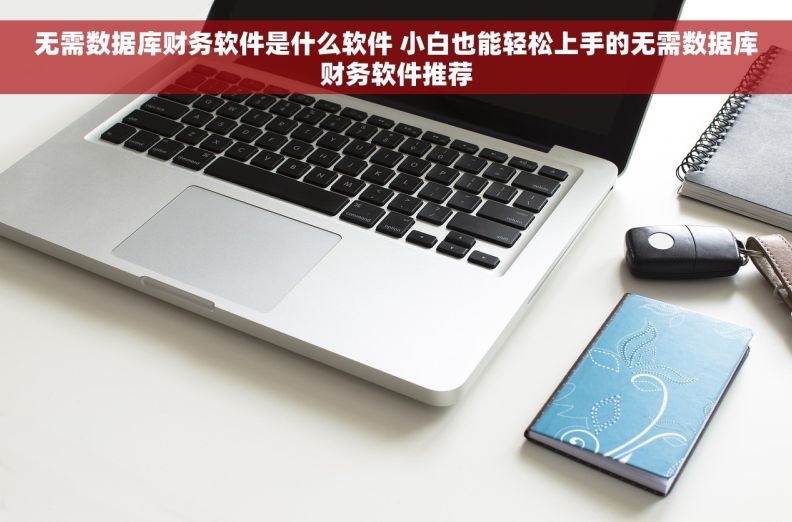 无需数据库财务软件是什么软件 小白也能轻松上手的无需数据库财务软件推荐