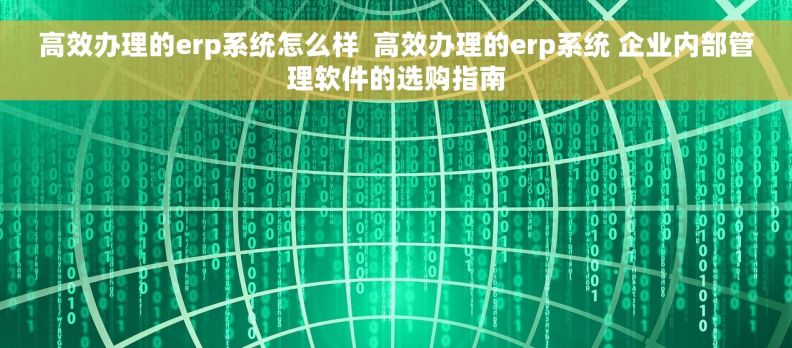 高效办理的erp系统怎么样  高效办理的erp系统 企业内部管理软件的选购指南