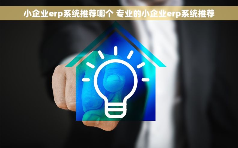 小企业erp系统推荐哪个 专业的小企业erp系统推荐