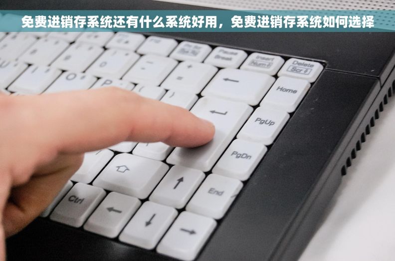 免费进销存系统还有什么系统好用，免费进销存系统如何选择