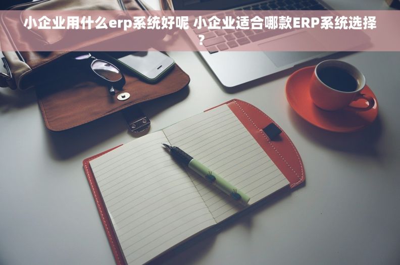 小企业用什么erp系统好呢 小企业适合哪款ERP系统选择？