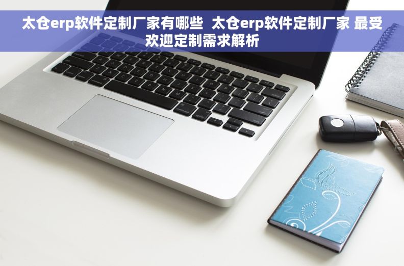 太仓erp软件定制厂家有哪些  太仓erp软件定制厂家 最受欢迎定制需求解析