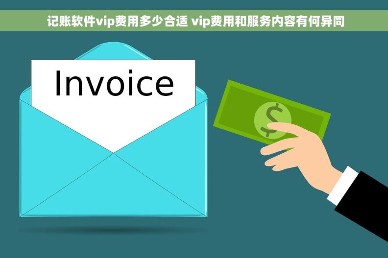  记账软件vip费用多少合适 vip费用和服务内容有何异同